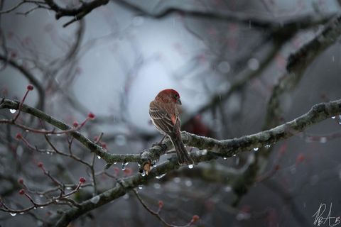 Tiny photo for 3042 Johnny Court, Augusta, GA 30906 (MLS # 549783)