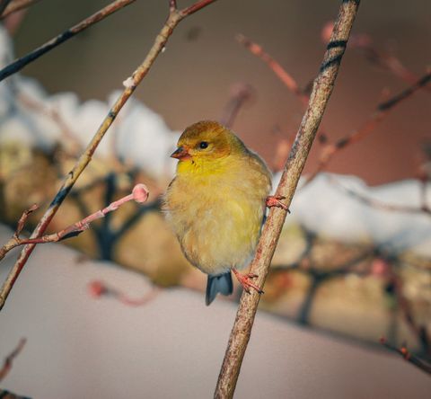 Tiny photo for 3042 Johnny Court, Augusta, GA 30906 (MLS # 549783)