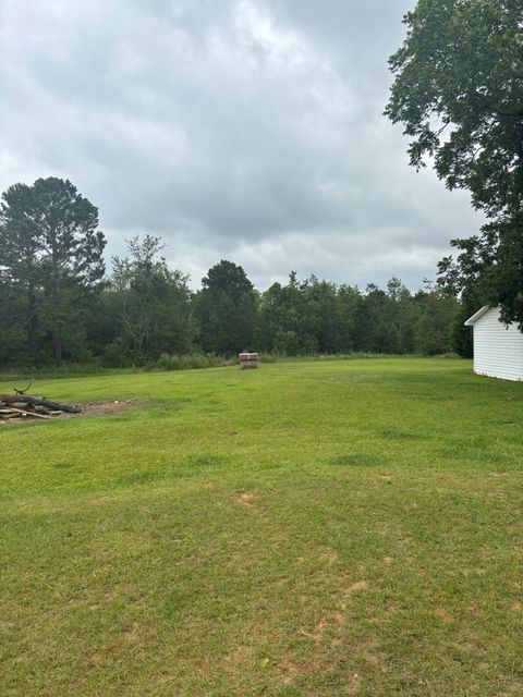 Tiny photo for 2023 Gamble School Road, Stapleton, GA 30823 (MLS # 542771)