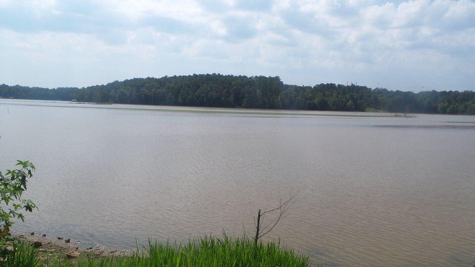 View Elberton, GA 30635 land