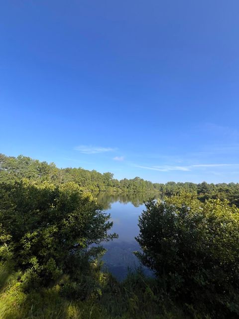 Photo of 128 Paces Creek Road, Trenton, SC 29847 (MLS # 543821)