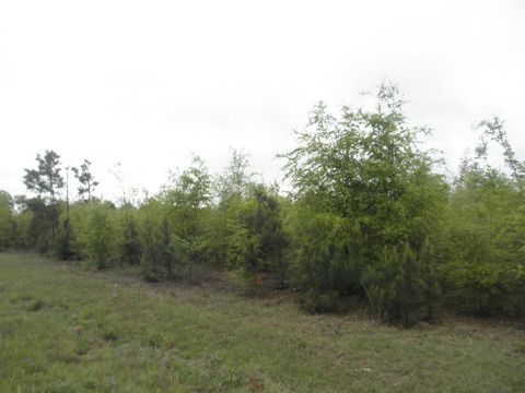 00 HIGHWAY 23 Waynesboro GA 30830