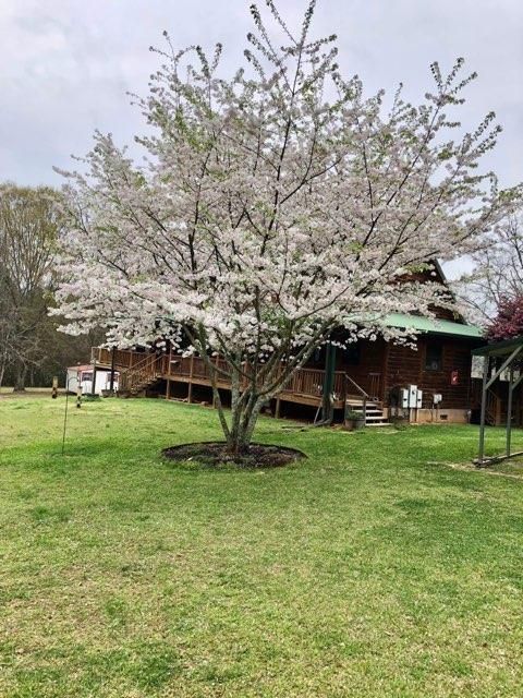 Tiny photo for 1044 Sardis Road, Rayle, GA 30660 (MLS # 549415)