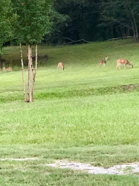 Tiny photo for 1044 Sardis Road, Rayle, GA 30660 (MLS # 549415)