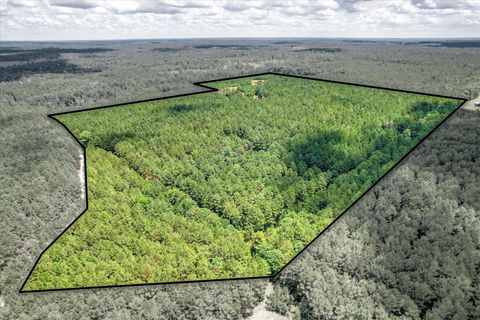 Tiny photo for 395 New Cut Road, Edgefield, SC 29824 (MLS # 544831)