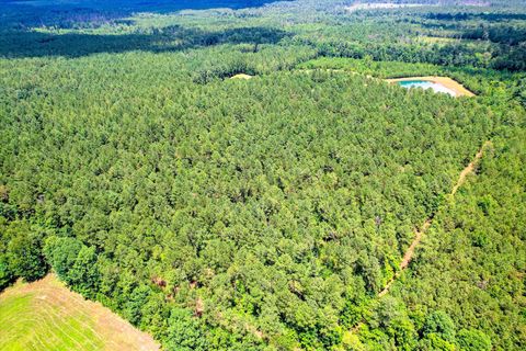 Tiny photo for 395 New Cut Road, Edgefield, SC 29824 (MLS # 544831)