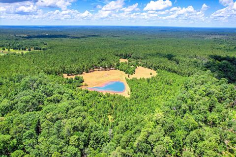 Tiny photo for 395 New Cut Road, Edgefield, SC 29824 (MLS # 544831)