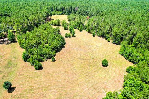 Tiny photo for 395 New Cut Road, Edgefield, SC 29824 (MLS # 544831)