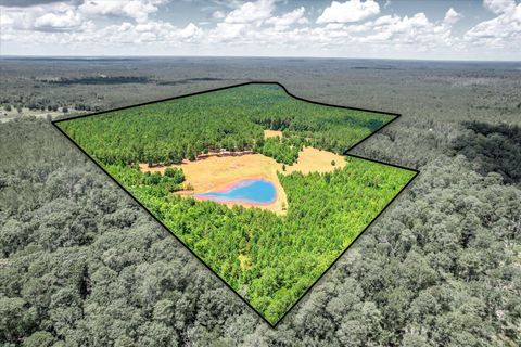 Tiny photo for 395 New Cut Road, Edgefield, SC 29824 (MLS # 544831)