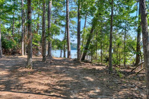 Tiny photo for 1199 Pawnee Drive, Lincolnton, GA 30817 (MLS # 543778)