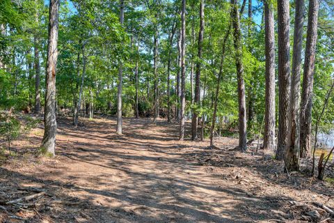 Tiny photo for 1199 Pawnee Drive, Lincolnton, GA 30817 (MLS # 543778)