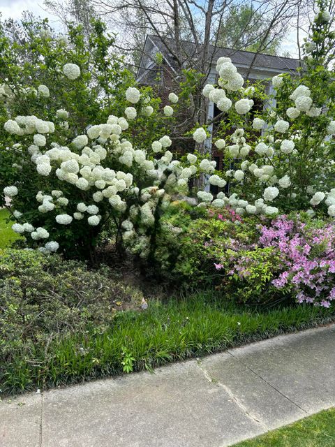 Tiny photo for 854 Sparkleberry Rd, Evans, GA 30809 (MLS # 537561)