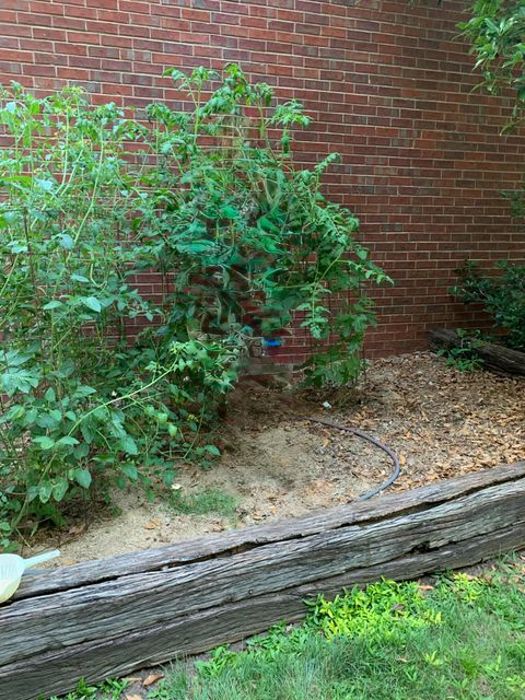 Tiny photo for 854 Sparkleberry Rd, Evans, GA 30809 (MLS # 537561)