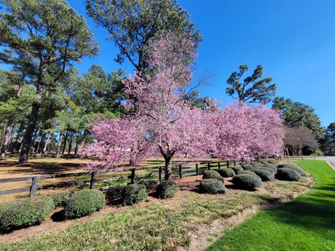 Tiny photo for 356 Forest Pines Road, Aiken, SC 29803 (MLS # 551954)