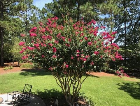 Tiny photo for 356 Forest Pines Road, Aiken, SC 29803 (MLS # 551954)