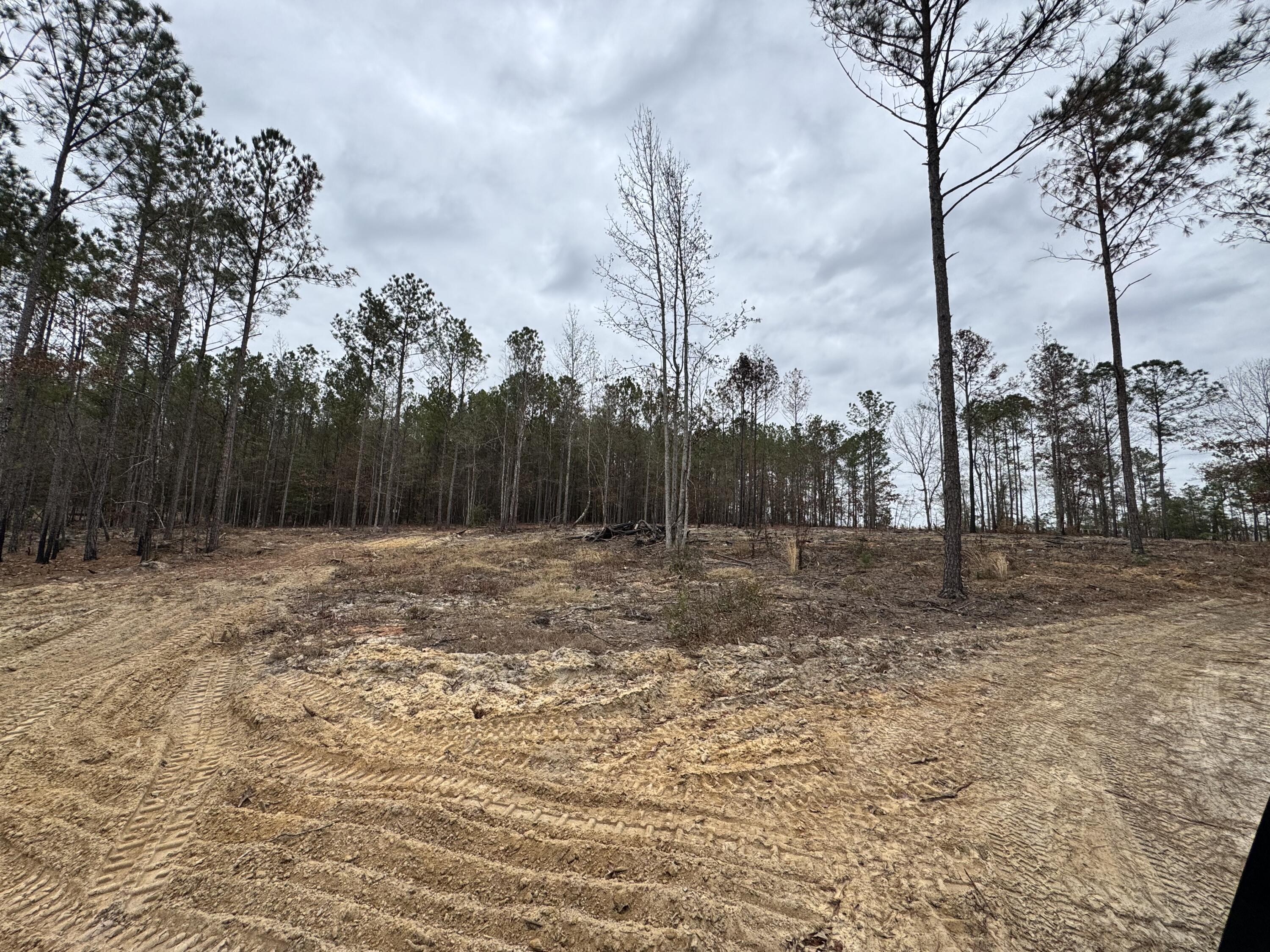 3479 Bastonville Road