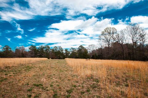 Tiny photo for 1215 Guillebeau Road, Lincolnton, GA 30817 (MLS # 553081)