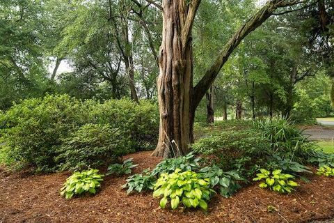 Tiny photo for 1792 Appleton Road, Allendale, SC 29810 (MLS # 532552)