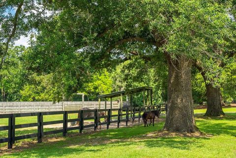 Tiny photo for 1792 Appleton Road, Allendale, SC 29810 (MLS # 532552)
