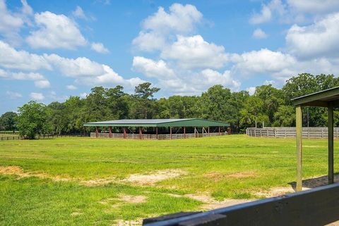 Tiny photo for 1792 Appleton Road, Allendale, SC 29810 (MLS # 532552)