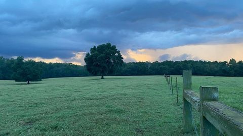 Tiny photo for 1792 Appleton Road, Allendale, SC 29810 (MLS # 532552)