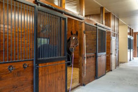 Tiny photo for 1029 Shell Bluff Drive, Aiken, SC 29803 (MLS # 548831)