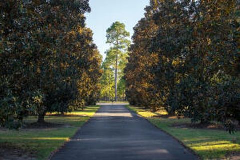 Tiny photo for 1029 Shell Bluff Drive, Aiken, SC 29803 (MLS # 548831)