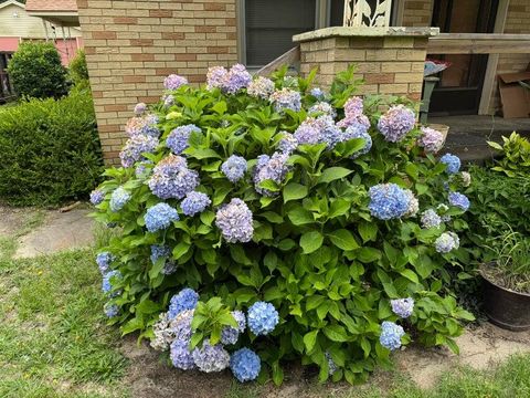 Tiny photo for 289 Cathy Drive, Warrenville, SC 29851 (MLS # 542988)