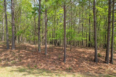 Photo of 1018 Pineknoll Lane, Lincolnton, GA 30817 (MLS # 554007)