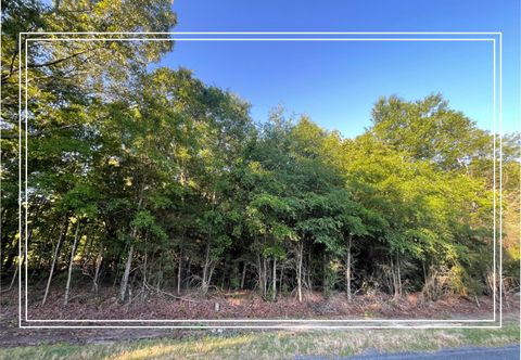 Photo of Lot 4 Biscayne Road, Aiken, SC 29803 (MLS # 555469)
