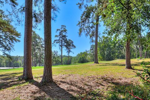 Tiny photo for 4036 S Goshen Lake Drive, Augusta, GA 30906 (MLS # 548263)