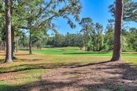 Tiny photo for 4036 S Goshen Lake Drive, Augusta, GA 30906 (MLS # 548263)