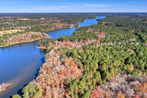 Photo of 144.56 AC BEN Lane, Lincolnton, GA 30817 (MLS # 478430)