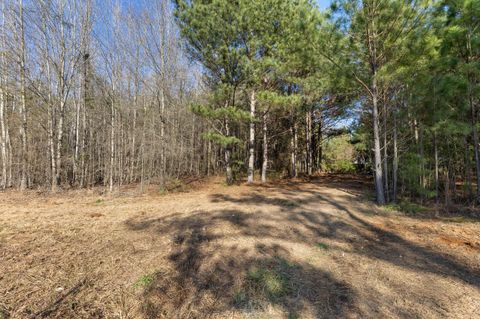 Tiny photo for 1816 Sterling Gibson Road, Thomson, GA 30824 (MLS # 552847)