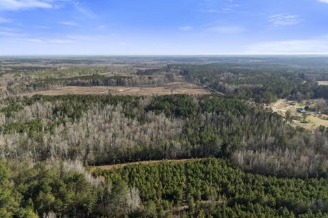 Tiny photo for 1816 Sterling Gibson Road, Thomson, GA 30824 (MLS # 552847)