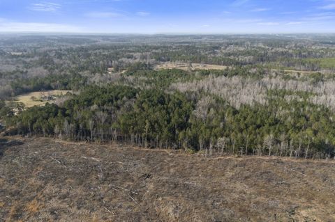 Tiny photo for 1816 Sterling Gibson Road, Thomson, GA 30824 (MLS # 552847)