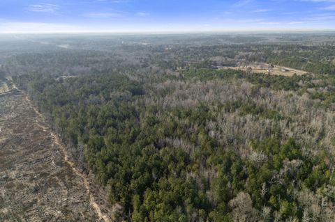 Tiny photo for 1816 Sterling Gibson Road, Thomson, GA 30824 (MLS # 552847)