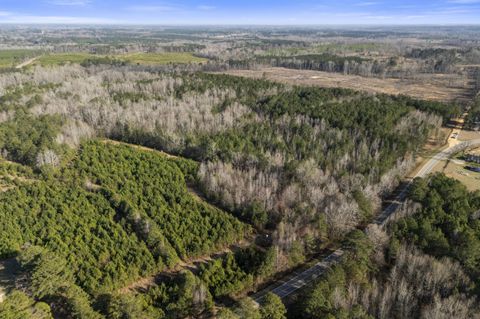 Tiny photo for 1816 Sterling Gibson Road, Thomson, GA 30824 (MLS # 552847)