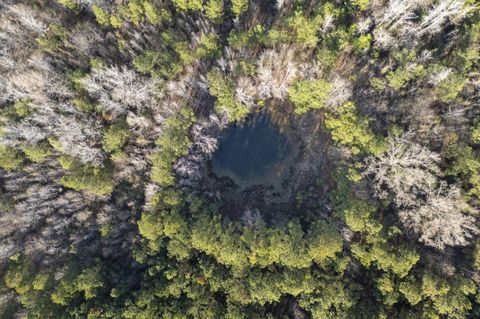 Tiny photo for 1816 Sterling Gibson Road, Thomson, GA 30824 (MLS # 552847)