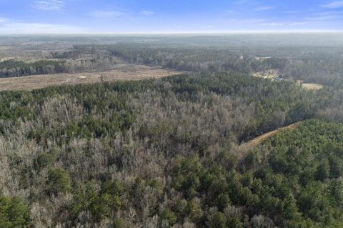 Tiny photo for 1816 Sterling Gibson Road, Thomson, GA 30824 (MLS # 552847)