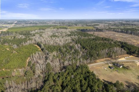 Tiny photo for 1816 Sterling Gibson Road, Thomson, GA 30824 (MLS # 552847)