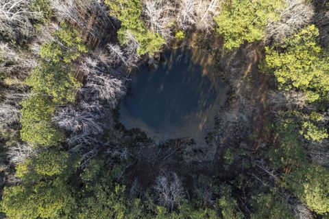 Tiny photo for 1816 Sterling Gibson Road, Thomson, GA 30824 (MLS # 552847)