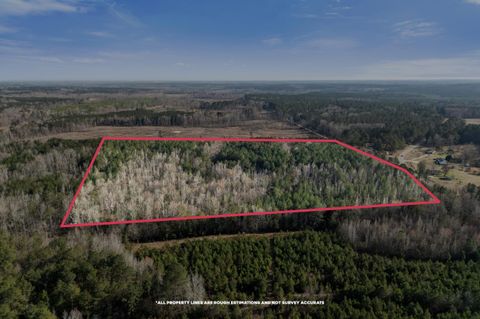 Tiny photo for 1816 Sterling Gibson Road, Thomson, GA 30824 (MLS # 552847)