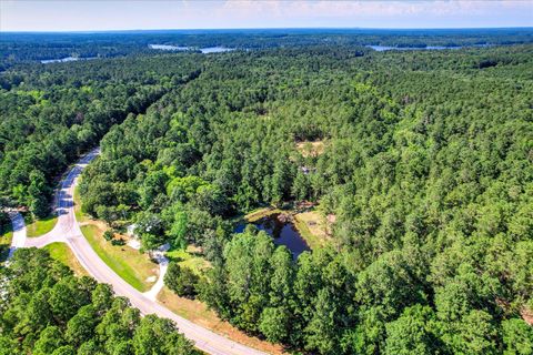Tiny photo for 2534 Ga-220, Lincolnton, GA 30817 (MLS # 543787)