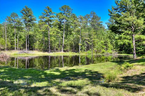 Tiny photo for 2534 Ga-220, Lincolnton, GA 30817 (MLS # 543787)