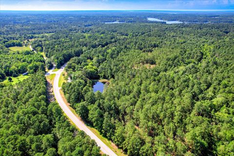 Tiny photo for 2534 Ga-220, Lincolnton, GA 30817 (MLS # 543787)