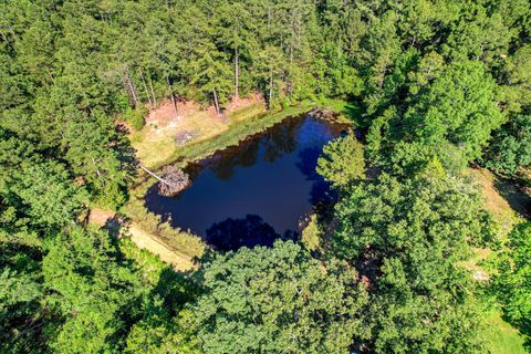 Tiny photo for 2534 Ga-220, Lincolnton, GA 30817 (MLS # 543787)