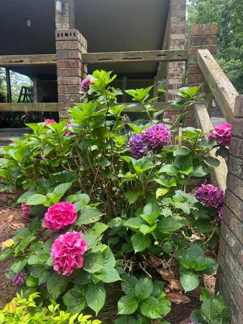 Tiny photo for 216 Sheppard Drive, Edgefield, SC 29824 (MLS # 543155)