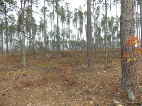 Photo of 4 E Mosley Rd, Lincolnton, GA 30817 (MLS # 550354)