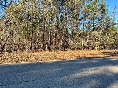 Photo of 3934 Grape Avenue, Augusta, GA 30909 (MLS # 551084)